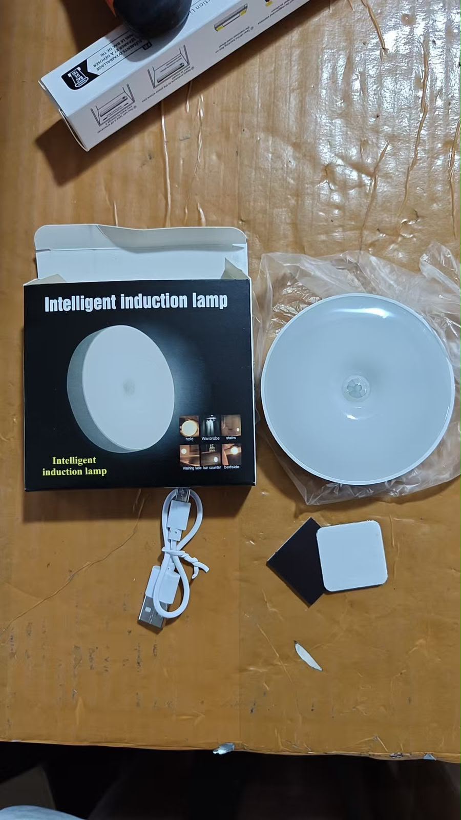 LED Smart Human Body Sensor Night